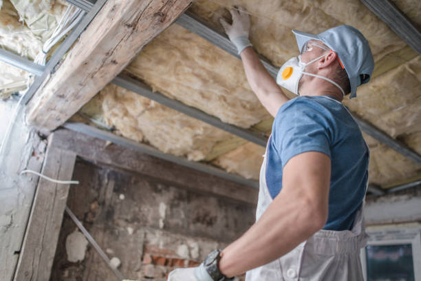 Best Residential Insulation in Nellysford, VA