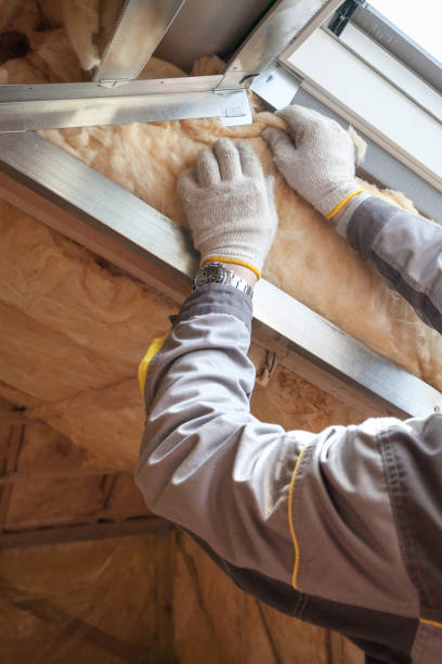 Best Geographic-Specific Insulation Services in Nellysford, VA